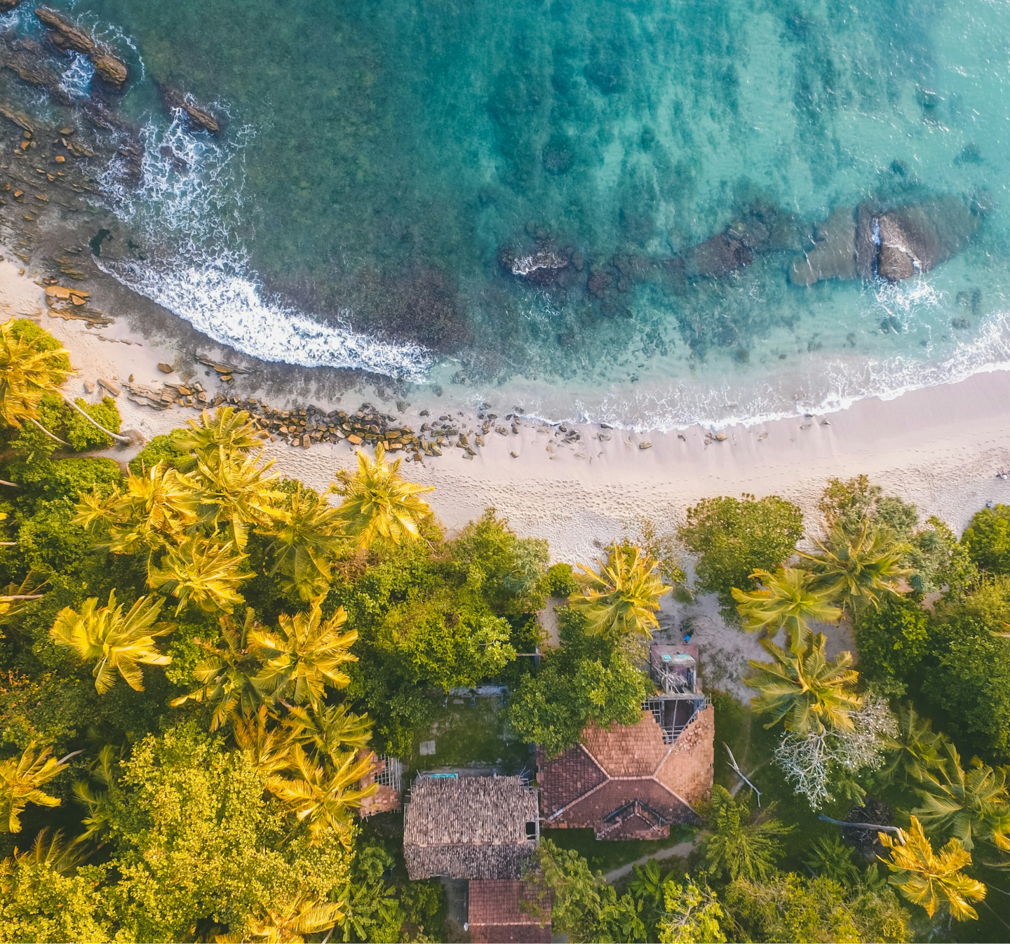 Sri Lanka New Banner 1