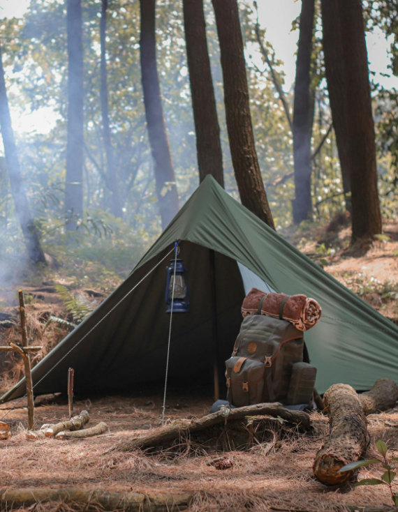 Hatton – A Journey Through Tea Tranquility