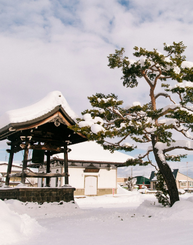 Japan in Winter