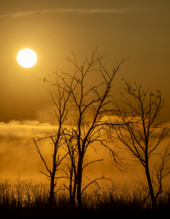 Ranthambore Wilderness History and Sky High Views