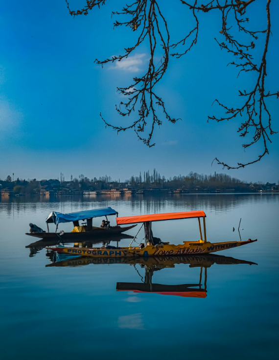 Sunrise Boat Tour with Classical Musician