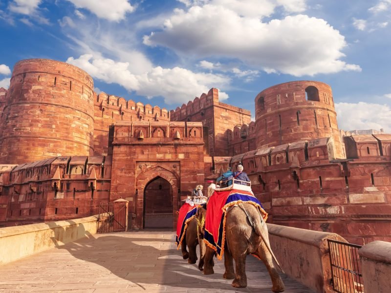 agra-fort-elephants-view-india-min