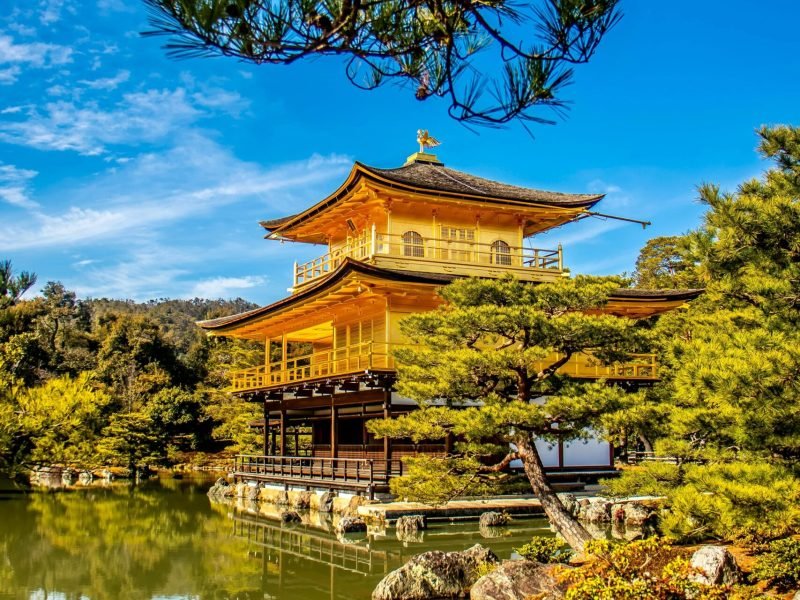 aibolat-askhar-OMOUljLhb9w-unsplash-min