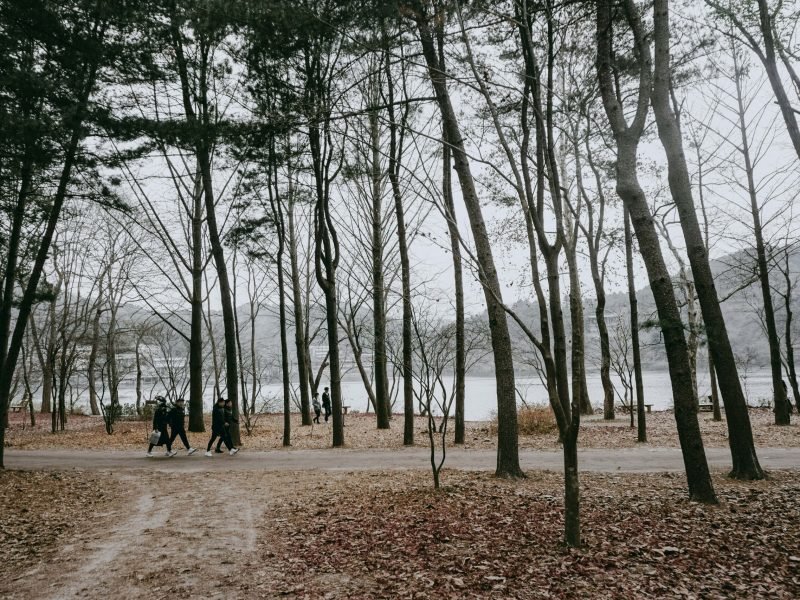 ammar-zainal-L-xYiW3FtkY-unsplash-min