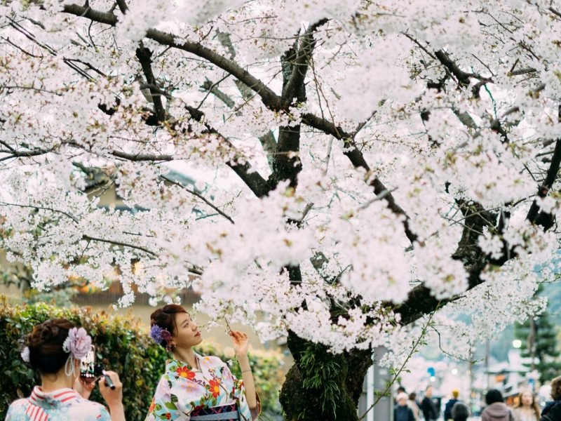 bady-abbas-w5tK0gdZn9g-unsplash