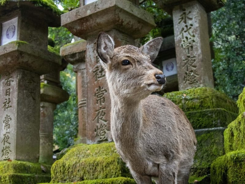 caleb-jack-292CcT_Aopg-unsplash-min