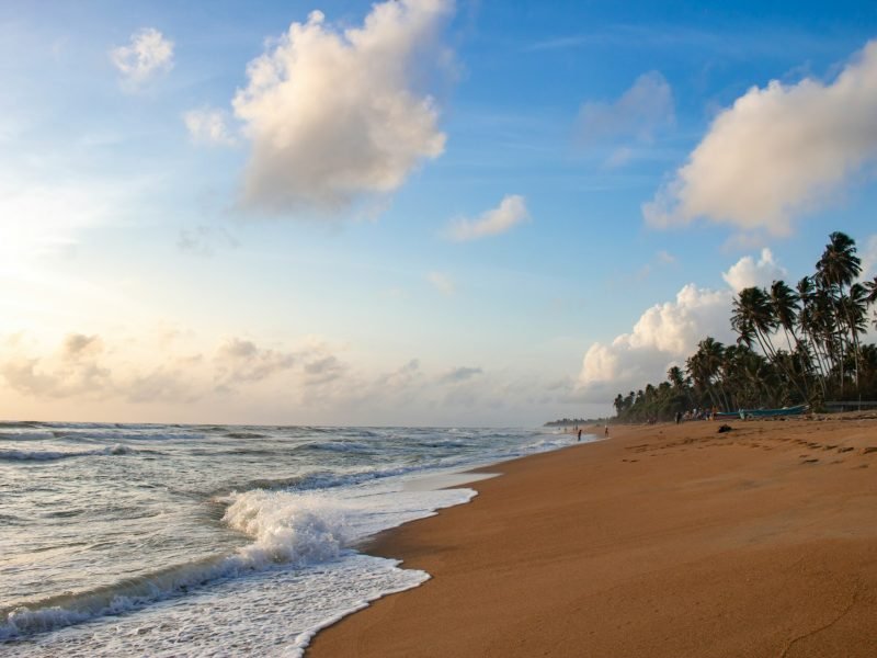 chathura-anuradha-subasinghe-AqSoGIhPBZQ-unsplash