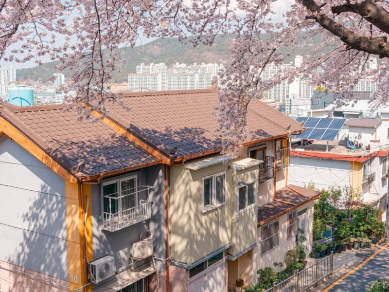 choi-wooseok-OQJc2Q1Ep5Y-unsplash-min