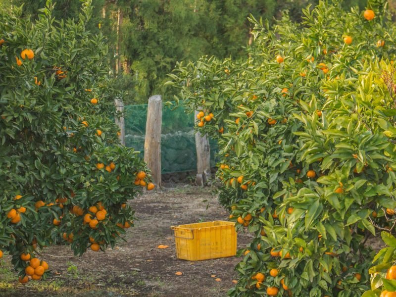 hoyoung-choi-QJII95HD_Lk-unsplash-min