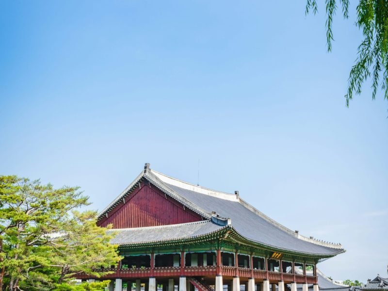 jack-brind-dvg1NvSuxEQ-unsplash-min