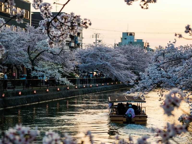 kristin-wilson-wJvUBkLU0pA-unsplash