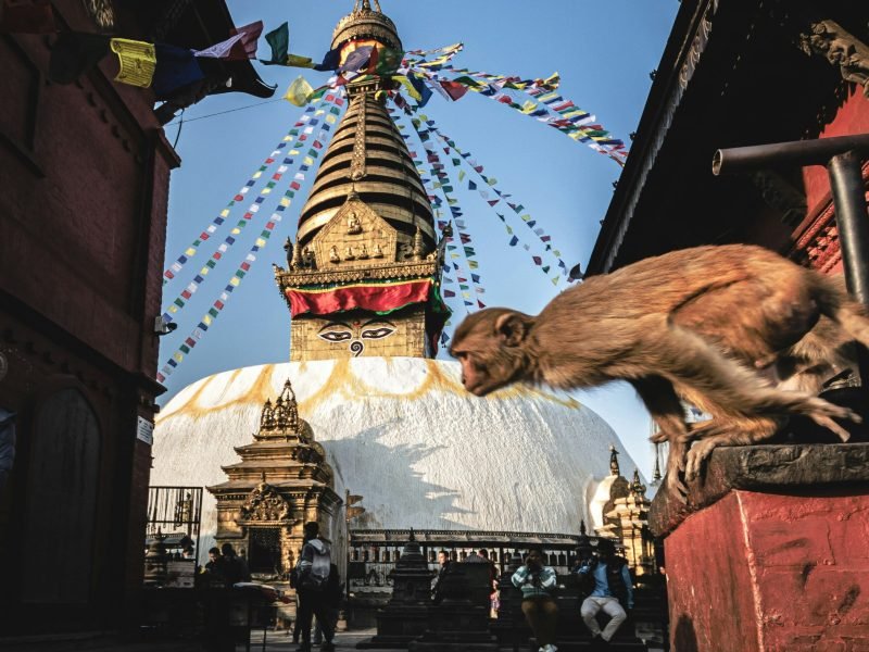 michael-starkie-dGeQmCNsrsg-unsplash-min