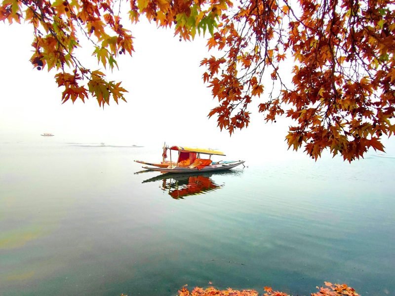 murtaza-ali-uxhQCPPL1wU-unsplash-min