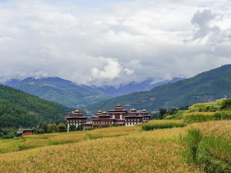 pema-gyamtsho-QkbIxJhALtk-unsplash-min