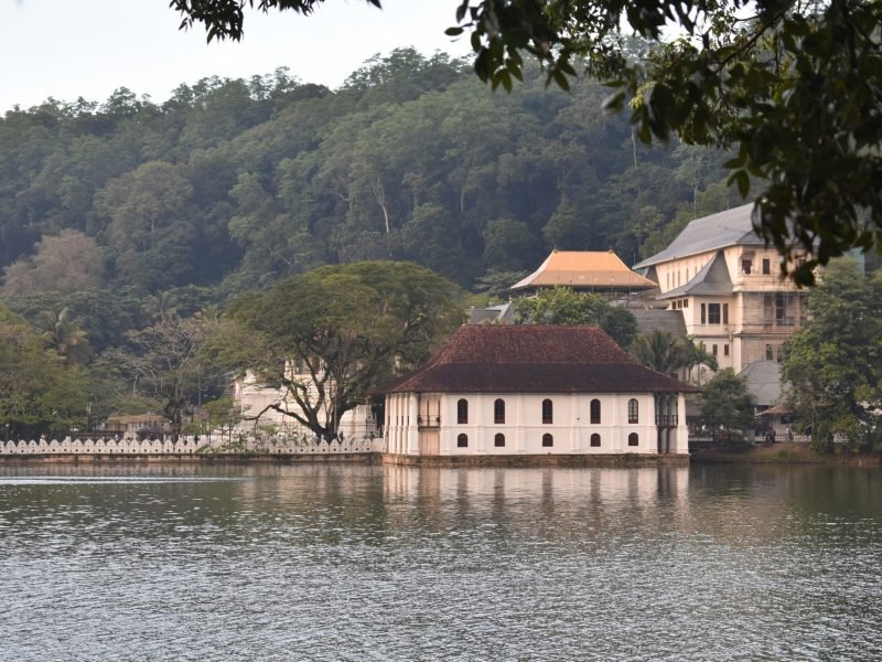 polina-kocheva-FZ6RTpiYi6w-unsplash-min