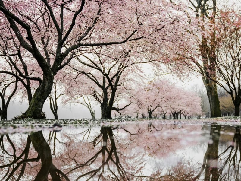 redd-francisco-Lm5rkxzgiFQ-unsplash