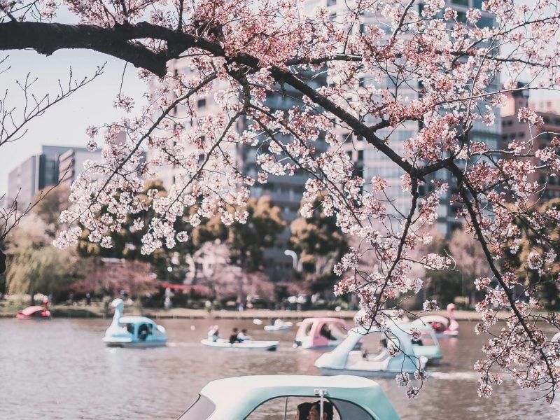 redd-francisco-iHU3ic36yeY-unsplash-min