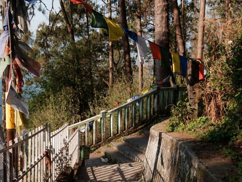 reyhan-lama-3kIaKZ_YQ6w-unsplash-min