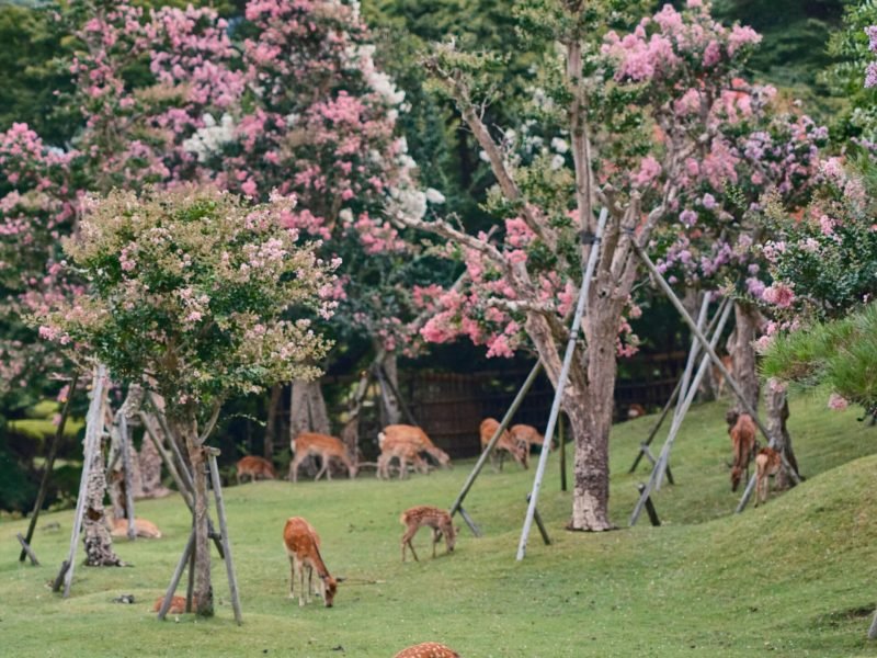 stephen-h-1UMOwyYdl0c-unsplash-min