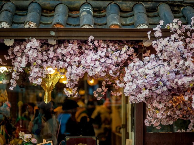 timothy-ries-S5XsDlChGAQ-unsplash-min