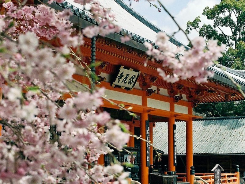 yusheng-deng-SwsVPPBcUzQ-unsplash